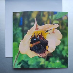 Cartes de voeux inspirées de la nature