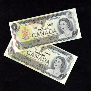 1973 canadian dollar - Etsy 日本