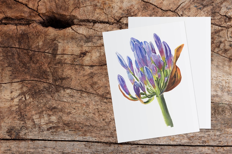 Multiple sizes Watercolor Print Agapanthus Set of 5 Folded Cards w Envelopes Lily of the Valley Blank Inside