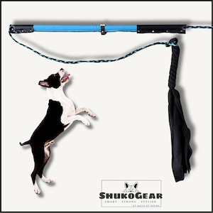 dog fishing pole lure Pet Supplies : YINOR Flirt for Dogs-Interactive Lures Durability Rope,Chase and Tug of war Puppy ToyOutdoor Agility Training Equipment PlushTeaser Chew Pet Kits for Small Medium Dogs ticular toy is made in the USA with parts that are tested for strength Flirt Pole V2 - Squishy
