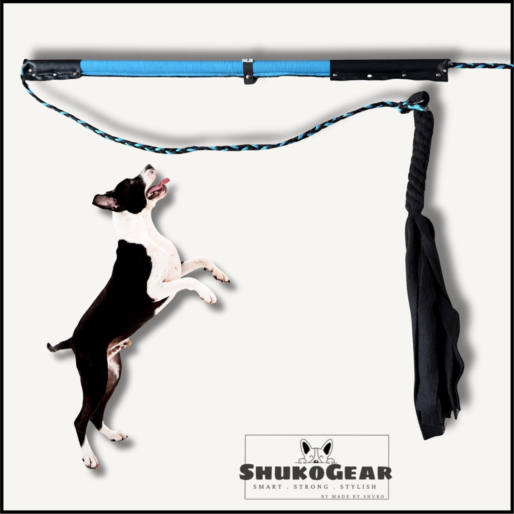 dog fishing pole Sea Dog, Triple Threat Three Rod Holder coated rod Fire Fishing Pole Two Pack
