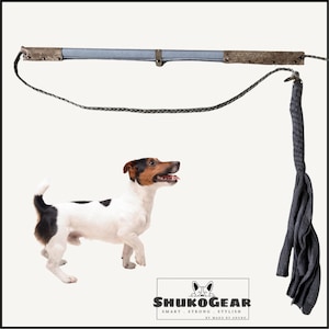 Puede incluir: Un Jack Russell Terrier se encuentra junto a un juguete para mascotas que presenta una vara larga de color azul claro con extremos marrones texturizados, conectada a un cordón gris trenzado y una borla de tela gris oscuro. El logo SHUKOGEAR SMART STRONG STYLISH BY MADE BY SHUKO es visible.