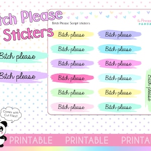 PRINTABLE Bitch please Snarky script planner stickers - Hobo Hobonichi Weeks Erin Condren Happy Planner Print Pression functional