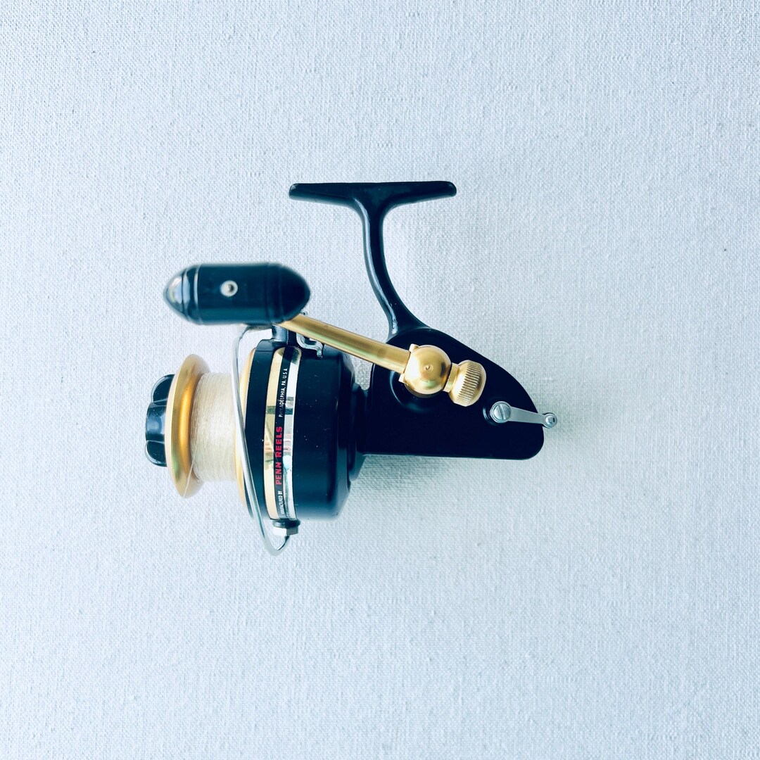 Lot De 2 Moulinets Rotatifs Penn – 450SS & 710Z (pêche)
