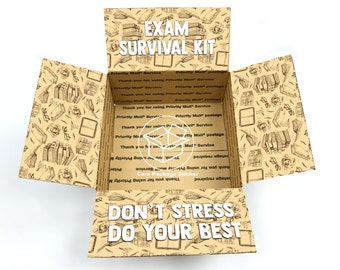 Finals care package stickers / college exam survival kit / student studying gift box / encouragement motivation