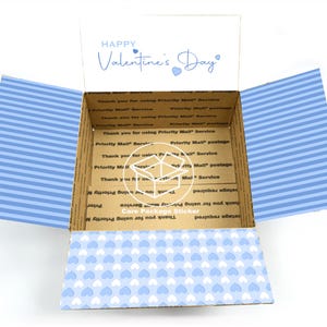 Valentine&#39;s Day care package stickers blue / college student valentines day gift / for boyfriend / long distance / deployment box for him