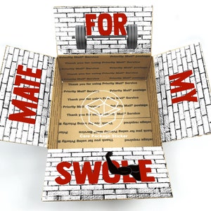 Swole mate workout gift for men / care package for boyfriend / fitness box / weightlifting protein / gym rat / crossfit couple flap stickers