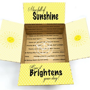 Box of sunshine care package stickers / sunshine box / college care package / get well / hospital gift / sympathy / break up gift box image 1