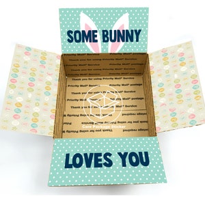 Easter care package stickers / spring college care package / shipping box decoration / mailing box flap stickers / surprise box for him