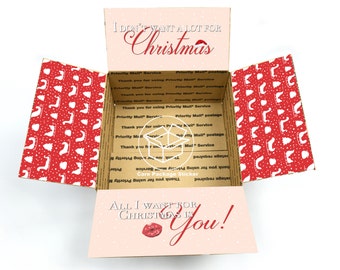Christmas care package stickers / long distance christmas gift box for boyfriend / deployment package for him / all I for christmas box flap