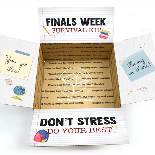 Finals Care Package Stickers / College Exam Survival Kit / Etsy