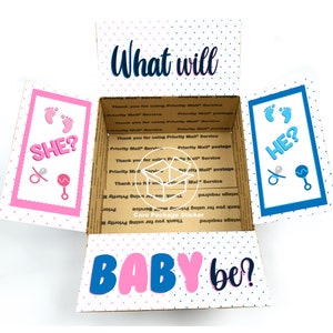 Gender reveal care package stickers / surprise pregnancy announcement gift box for long distance /  he or she baby boy girl shipping labels