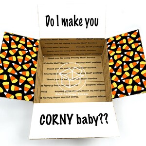 Halloween care package flaps / long distance relationship box for boyfriend / care package for him / naughty / care package flap stickers