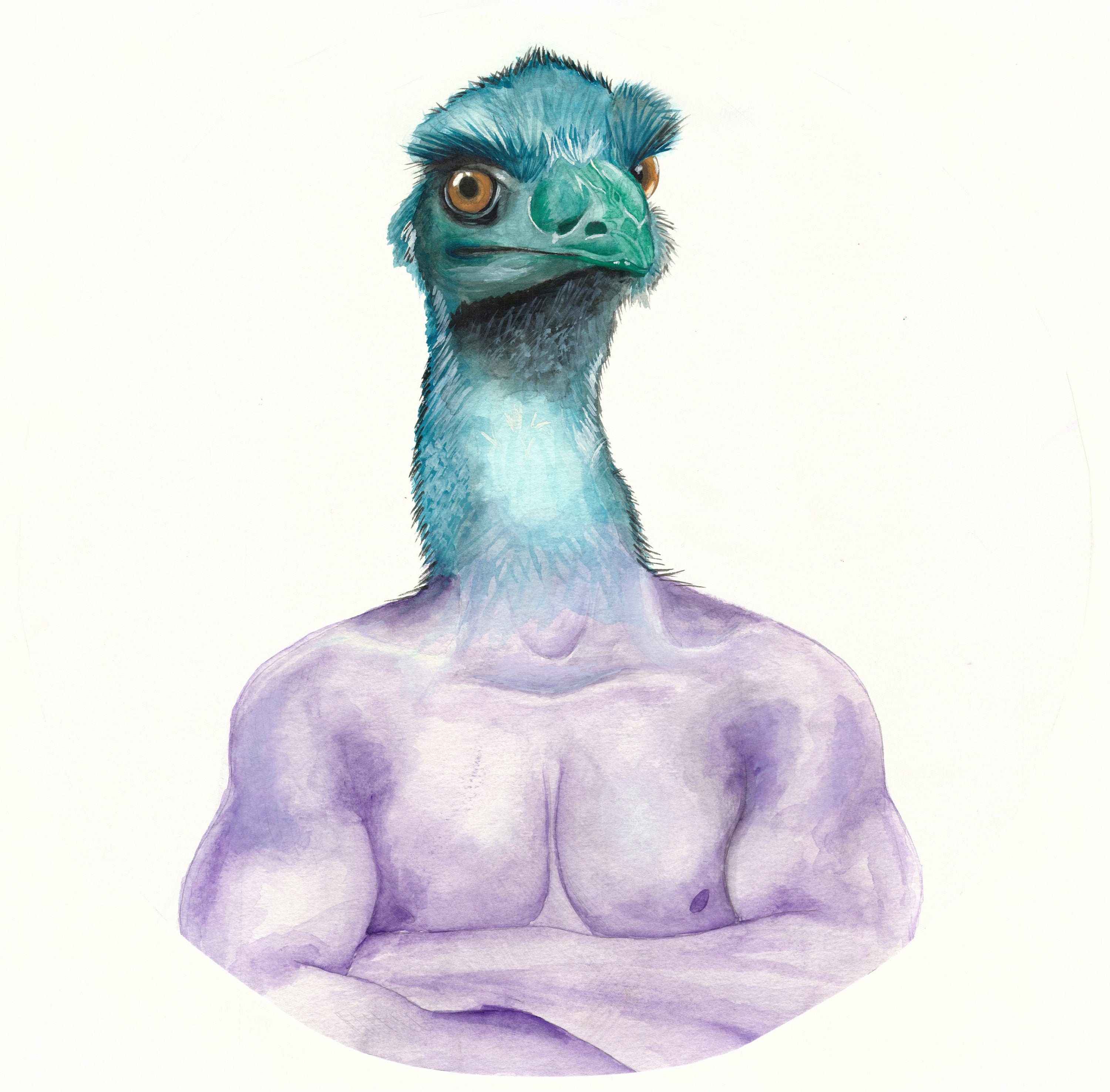 Emurus Body Watercolor of Emu With Human Body - Etsy