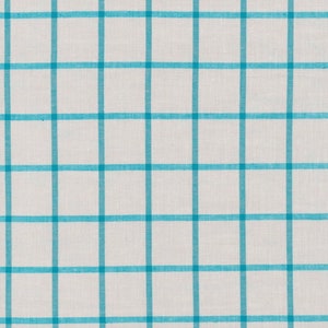 May include: White fabric with a blue and white checkered pattern.