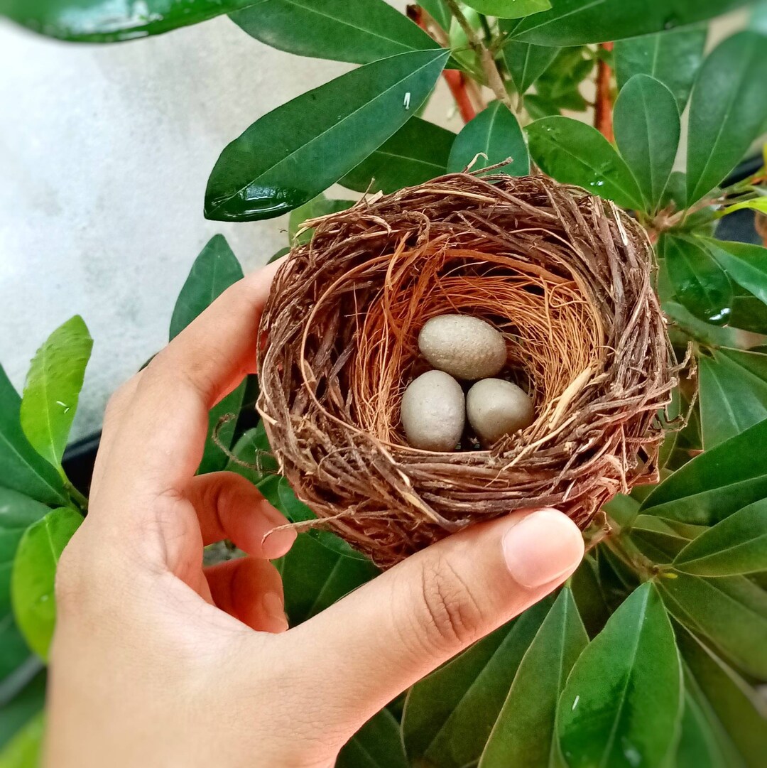 Miniature Bird Nest With Eggs Realistic Bird Nest Christmas Tree Indoor