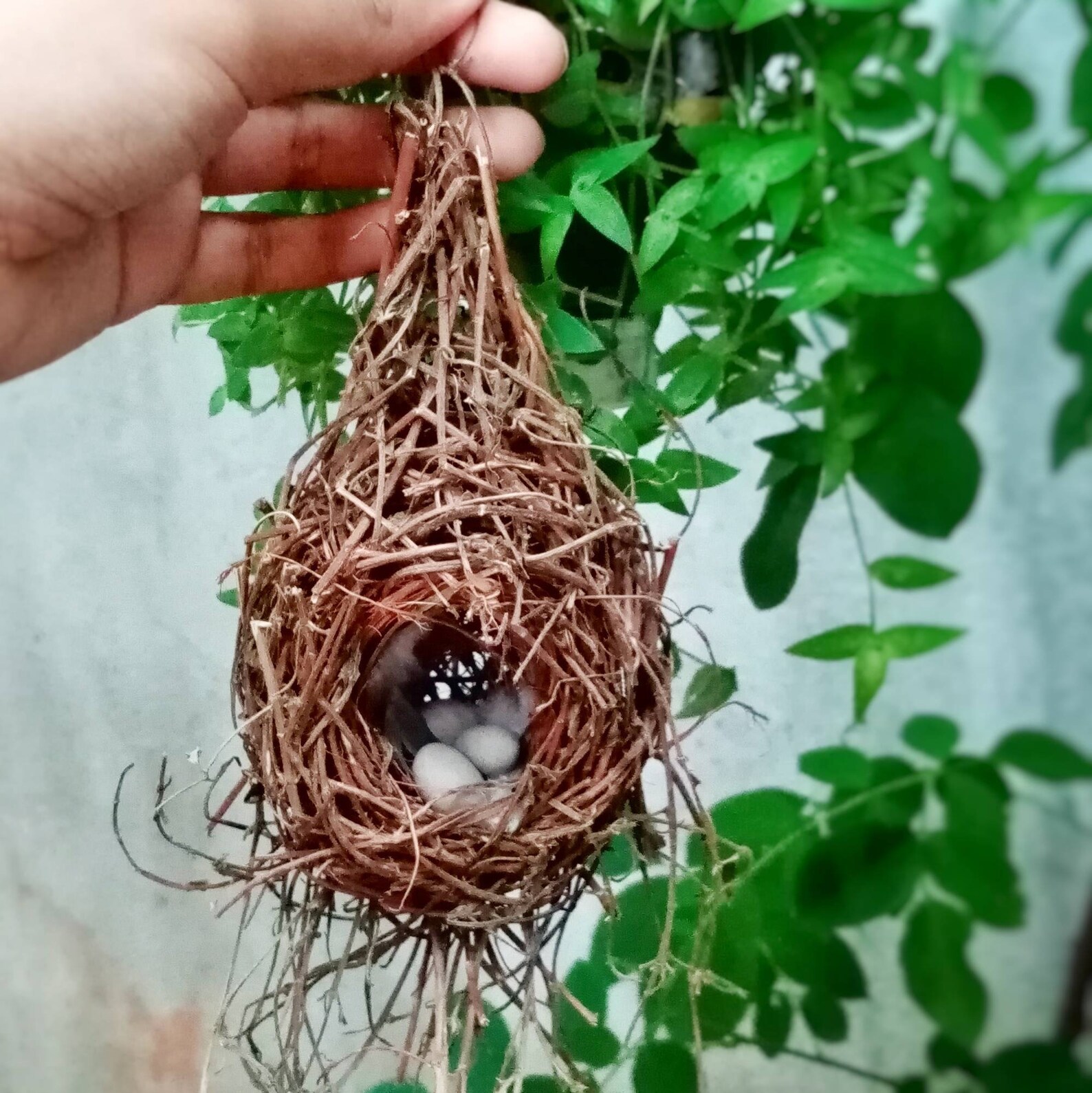 Hanging Bird Nest With Eggs, Realistic Hanging Nest Christmas Tree