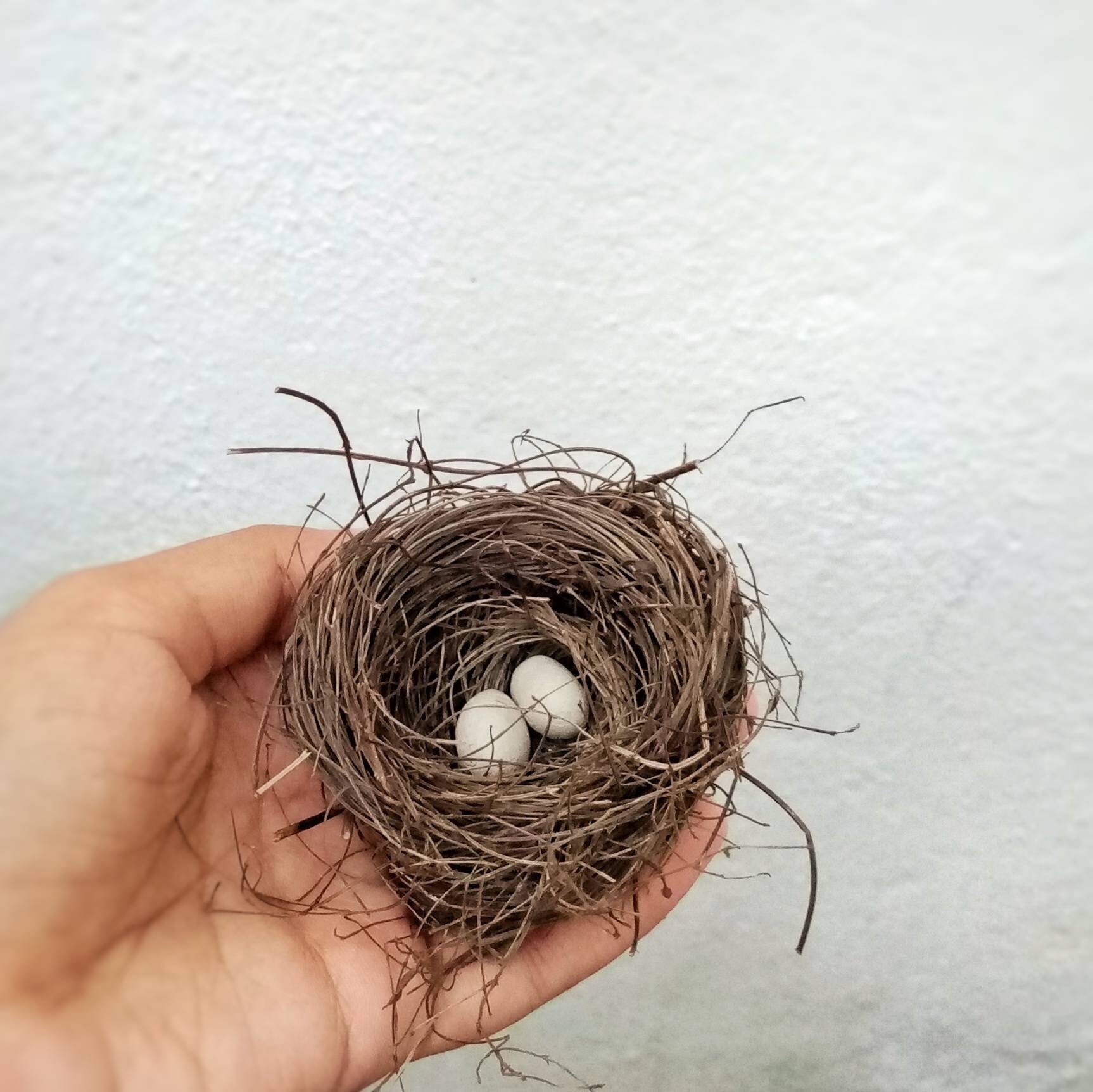 Bird Nest With Two Eggs Little Bird Nest Christmas Tree Wreath Small