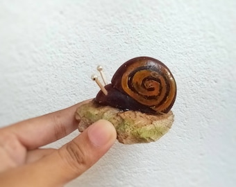 Dollhouse snail miniature tiny snail for dollhouse garden decor shelf decor gift miniature snail with shell tiny garden snails mini