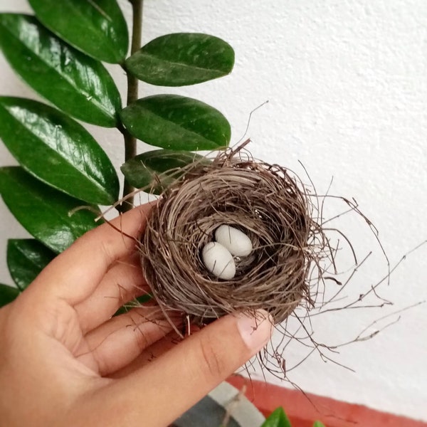 Nid d’oiseau avec deux œufs petit nid d’oiseau Couronne de Noël petit nid d’oiseau petit nid petit nid d’oiseau réaliste