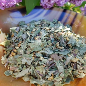 Calea Zacatechichi Mexican Dream Herb, Leaf of God Ritual, Lucid Dream Magic, Hand Processed Premium High Grade Calea Ternifolia Oneirogen