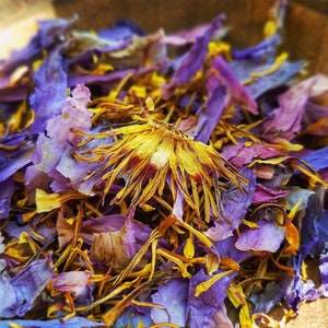 Egyptian Blue Lotus Sacred Water Lily, Dream Magic, Lucid Dream, Hand Processed Premium High Grade Nymphaea Caerulea Flower Petals & Stamens