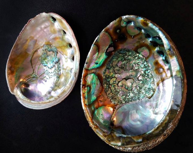 XL Natural Abalone Shell, Premium Blue Abalone, Blue Green Large Abalone, Beach House Decor, Smudging, Loose Incense, Altar Offering, Ritual