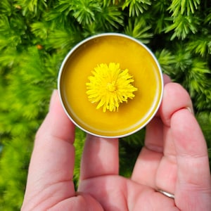 Simply Dandelion Salve, Organic Unscented Natural Skincare for Everyday Hydration & Softness, Herbal Moisturizing Balm for Rough Dry Skin