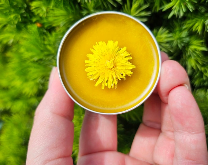 Simply Dandelion Salve, Organic Unscented Natural Skincare for Everyday Hydration & Softness, Herbal Moisturizing Balm for Rough Dry Skin