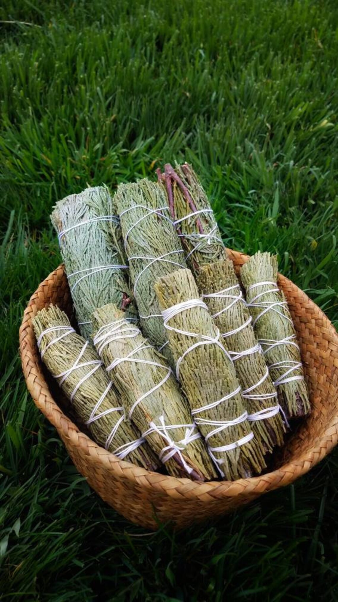 CEDAR Smudge Wand smoke Cleansing Ritual House Smudging Cleanse Sage ...