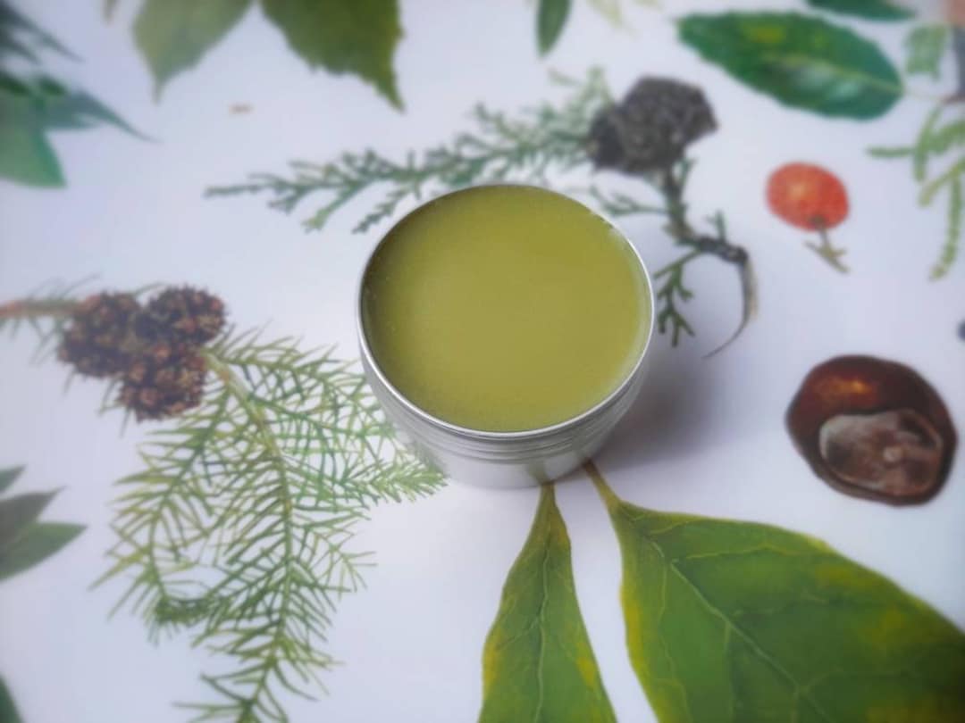 Balm of Gilead Cottonwood Salve, Cold Infused All Natural Wildcrafted