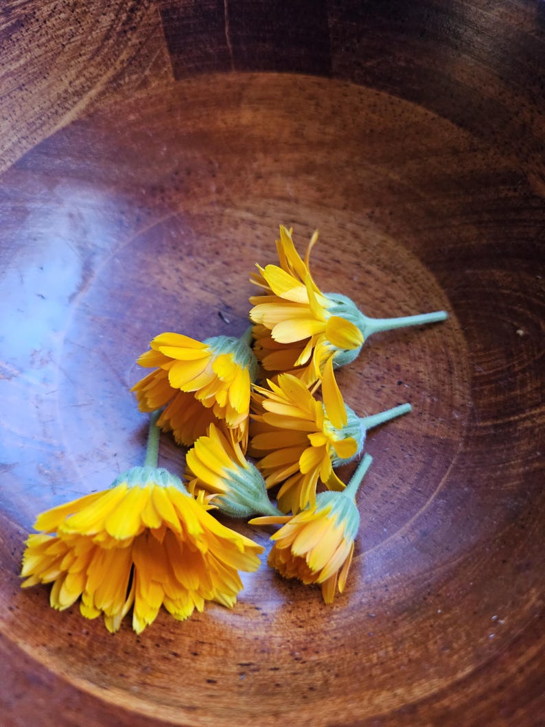 Simply Calendula Salve: Organic Unscented Herbal Balm for Dry Skin, Tattoo Aftercare image 4