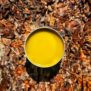 May include: A round container of yellow balm on a background of brown bark.