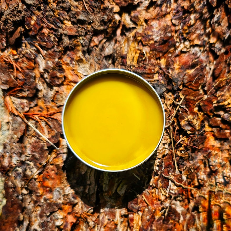 May include: A round container of yellow balm on a background of brown bark.