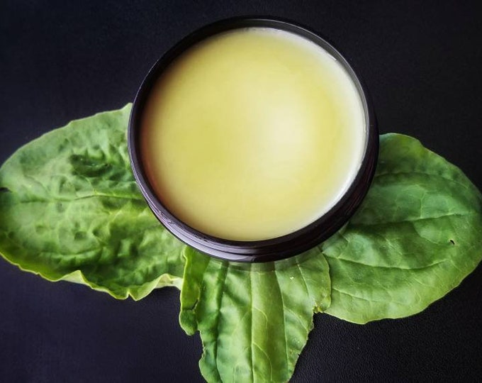 Simply Plantain Salve, Wildcrafted organic herbal balm, ethically created unscented botanically infused handcrafted salve