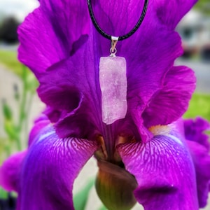 May include: A light purple crystal pendant hangs from a black cord, set against a vibrant purple iris flower. The pendant is rectangular and has a silver-colored bail. The flower's petals display intricate patterns.
