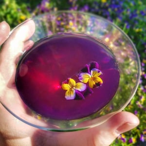 Blue Butterfly Pea Flower Loose Leaf Tea, all natural color changing magical teas,organic artisan gourmet caffeine free herbal tea drink mix
