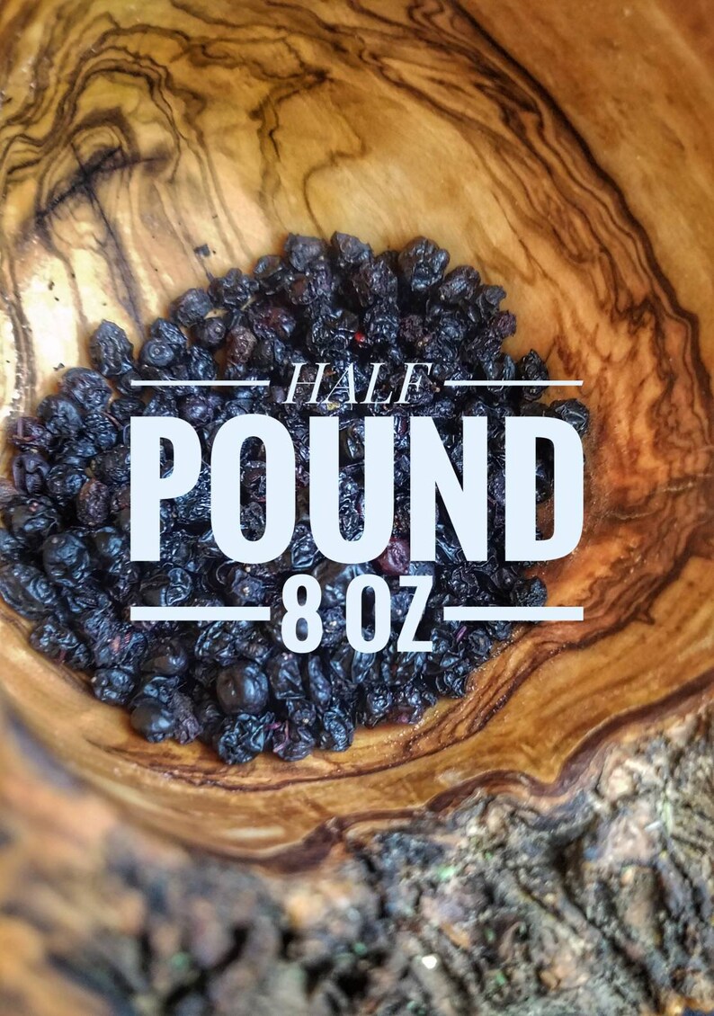 OG Dried Elderberries bulk organic black elderberries Etsy