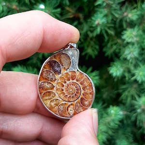 May include: A silver pendant featuring a fossilized ammonite with a spiral pattern in shades of brown and gold.