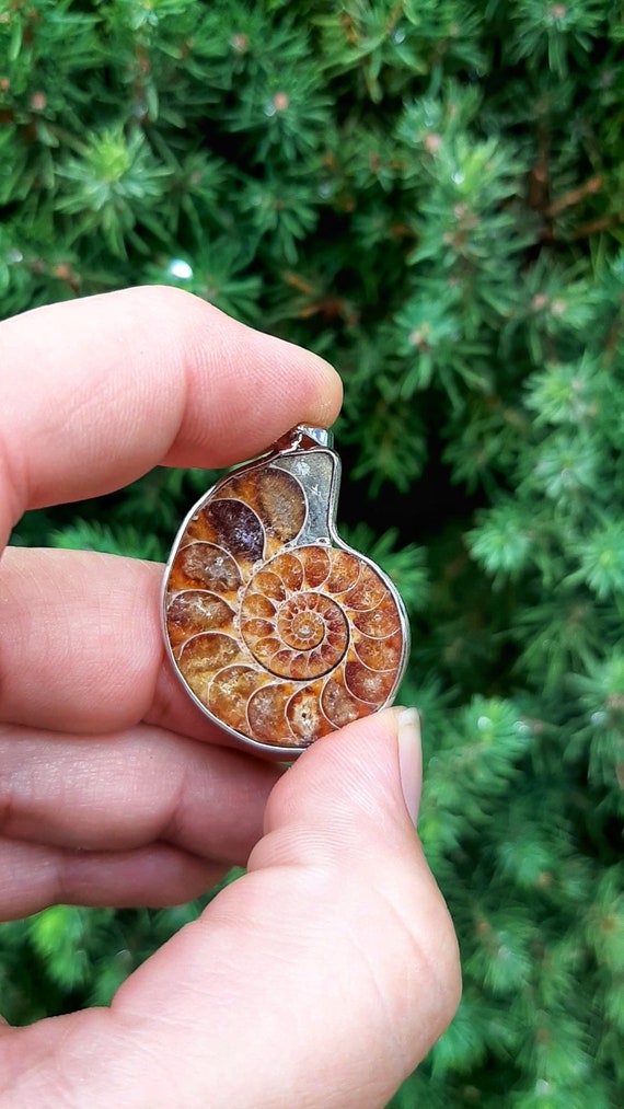 Pendentif Ammonite Fossile 3-4 Cm - Pierre Naturelle Nautilus Pour Homme Et Femme - Bijou Spirituel Unique