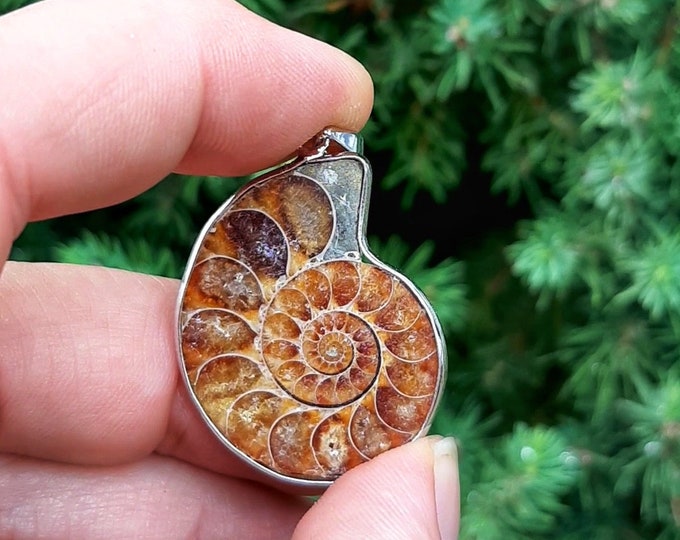 Natural Nautilus Fossil Pendant, Fossilized Ammonite Shell Necklace