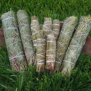 May include: A bundle of sage smudge sticks tied with twine. The sage is green and the twine is white. The smudge sticks are arranged in a semi-circle on a wooden surface. The background is green grass.