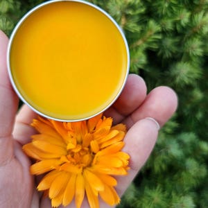 Simply Calendula Salve, Unscented Natural Skincare for Hands, Cuticles, Tattoos, Everyday Hydration, Organic Herbal Balm for Dry Rough Skin