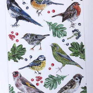 Garden Bird Print