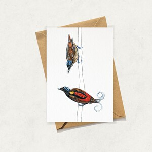 L'uccello del paradiso di Wilson