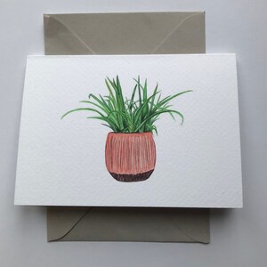 Carte de vœux Spider Plant A6