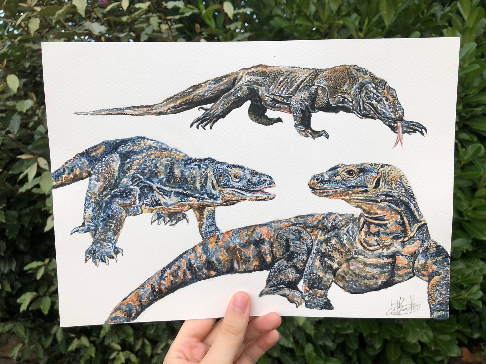 Komodo Dragon Original Painting | Etsy