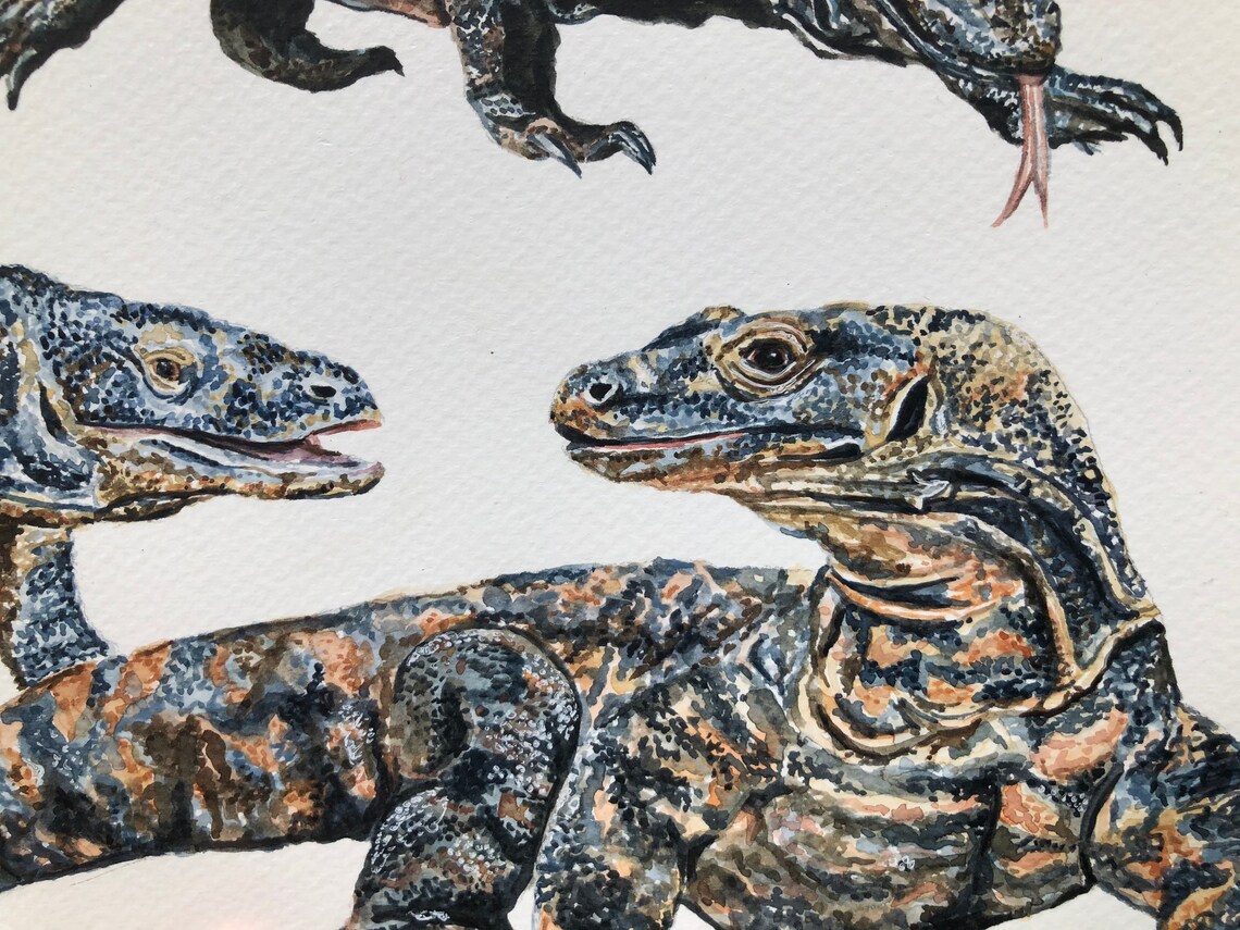 Komodo Dragon Original Painting | Etsy