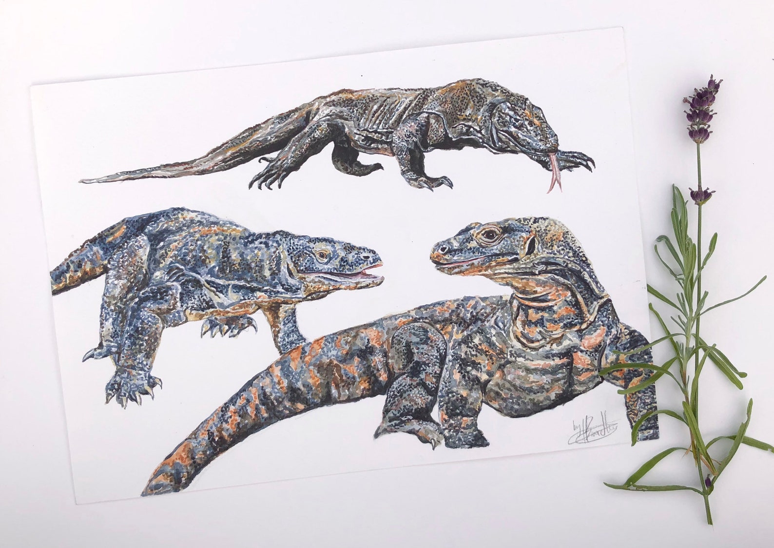 Komodo Dragon Original Painting | Etsy