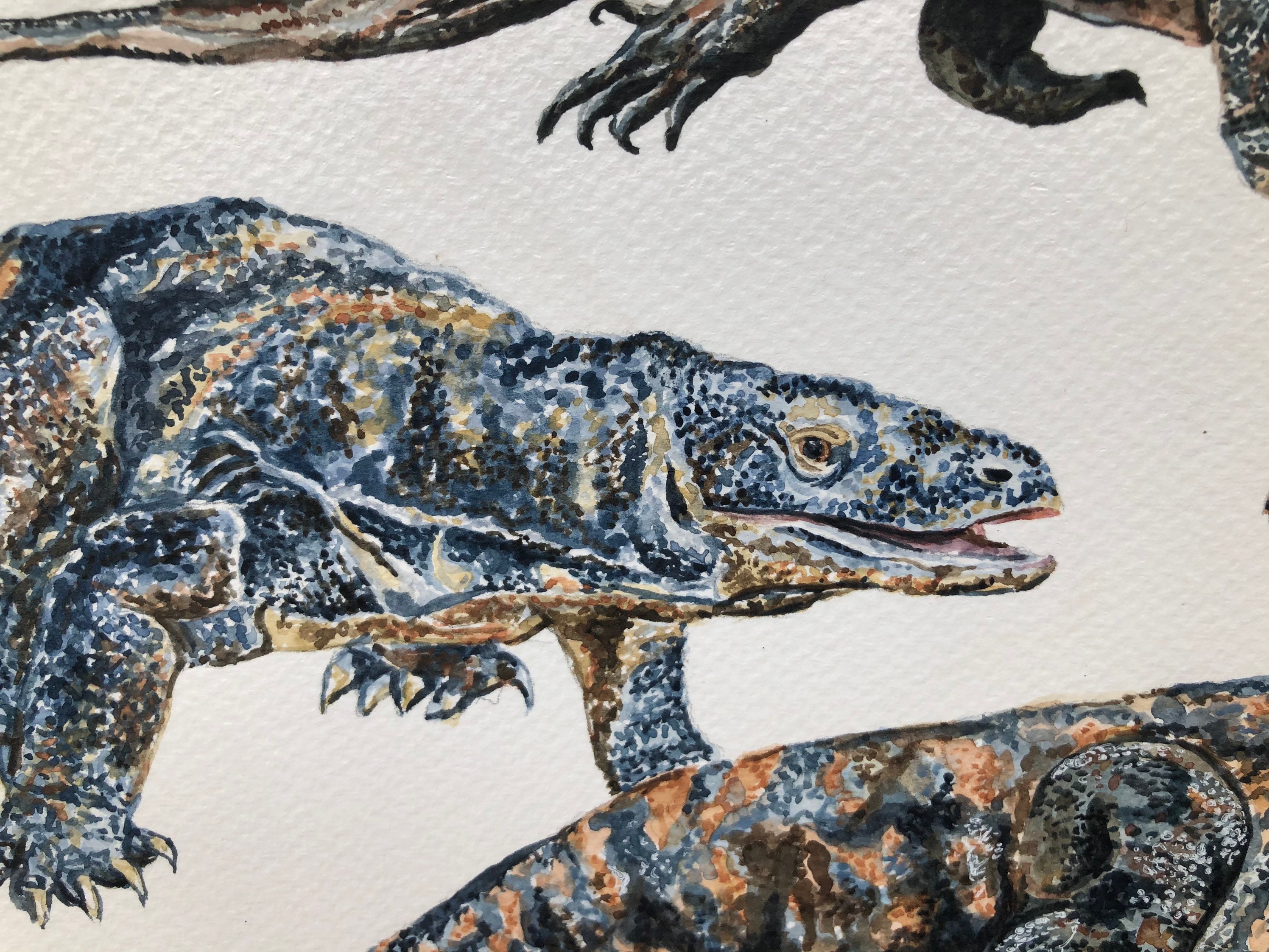 Komodo Dragon Original Painting | Etsy